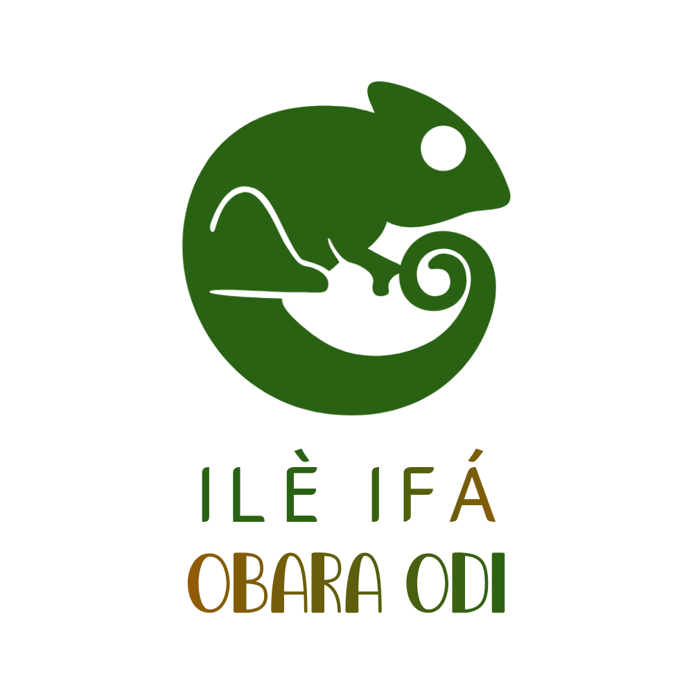ObaraOdi Academy